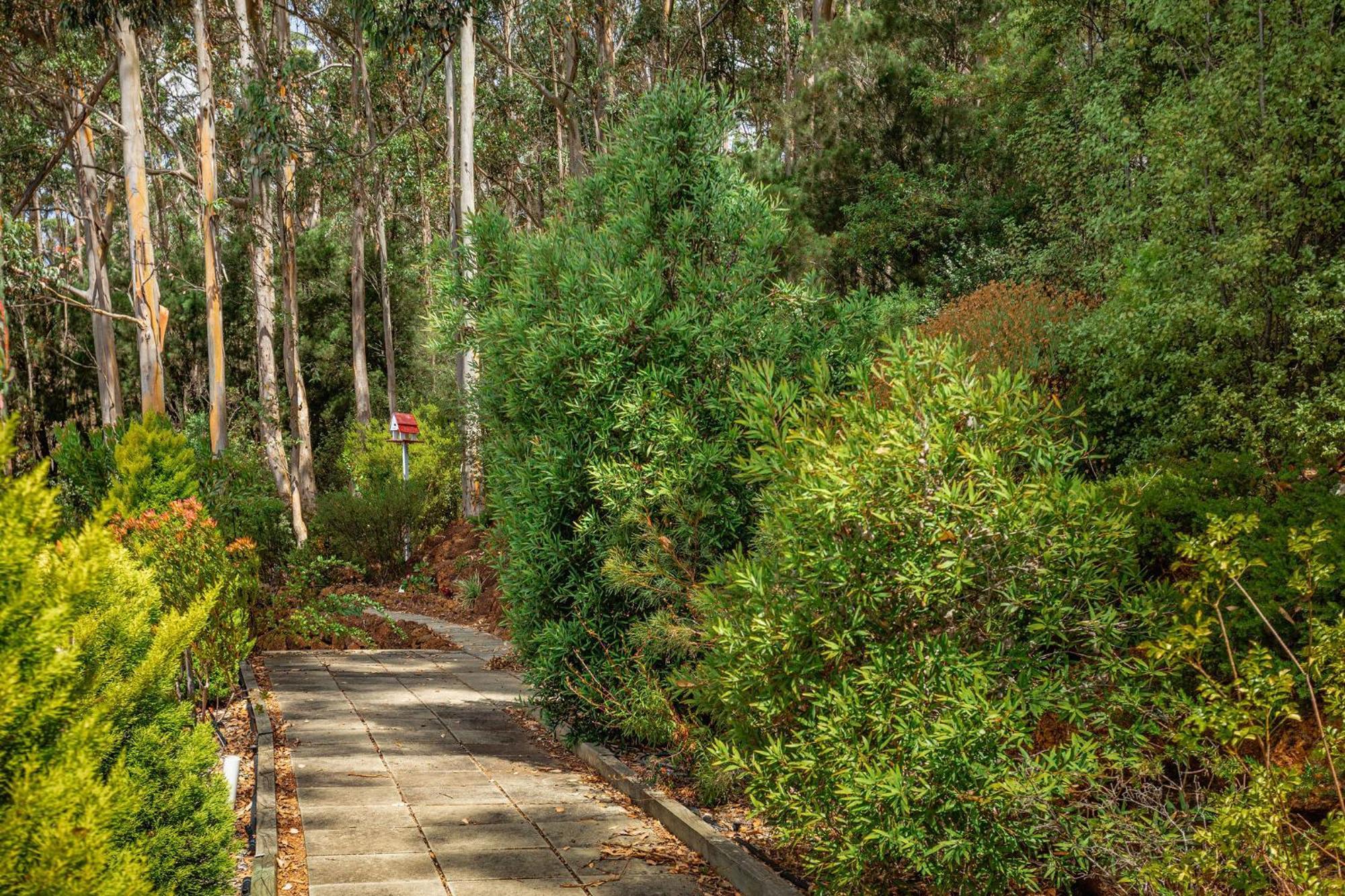 Oceanview Luxury Retreat Amongst The Trees Holiday home *