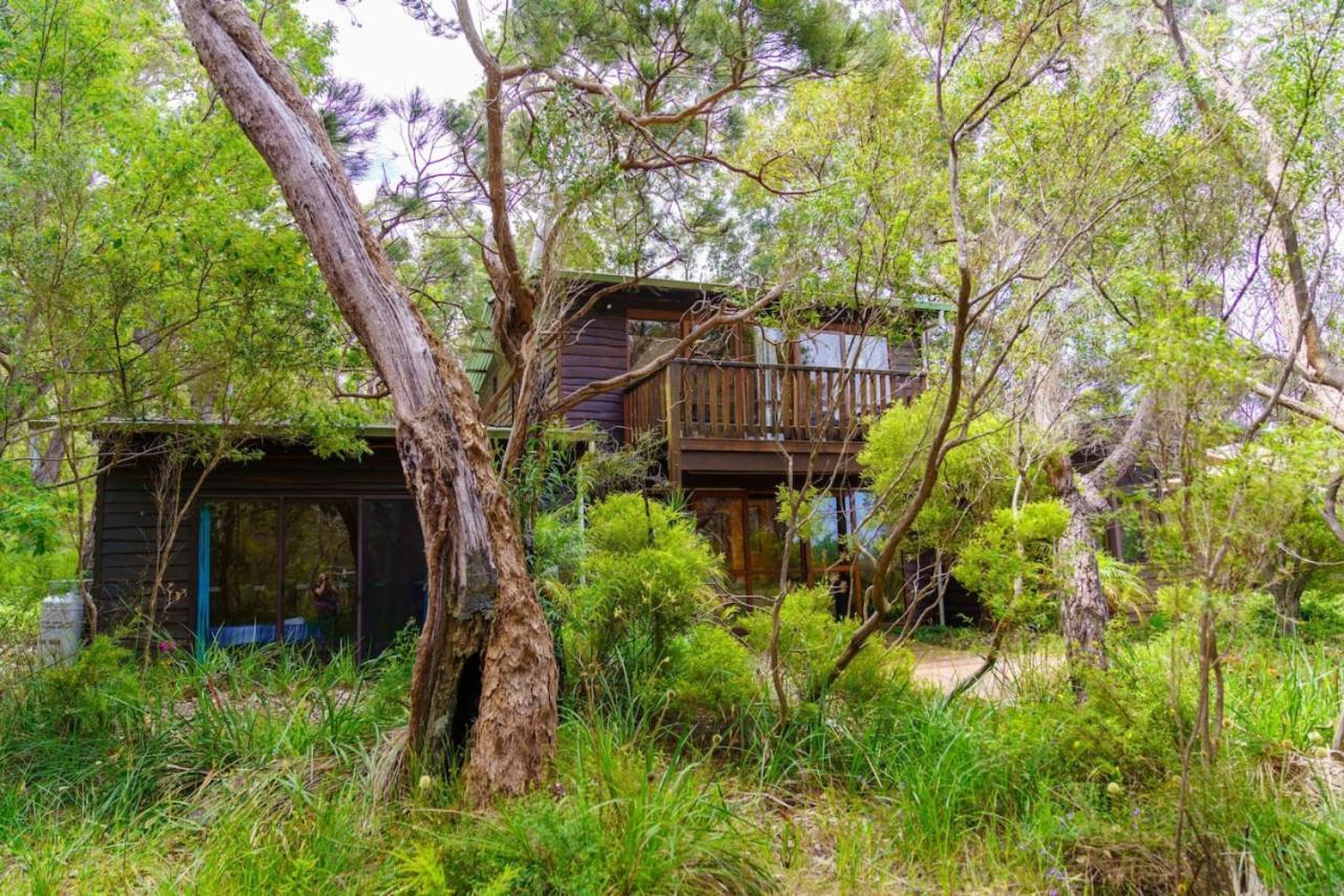 Bimbi Forest Eco - *