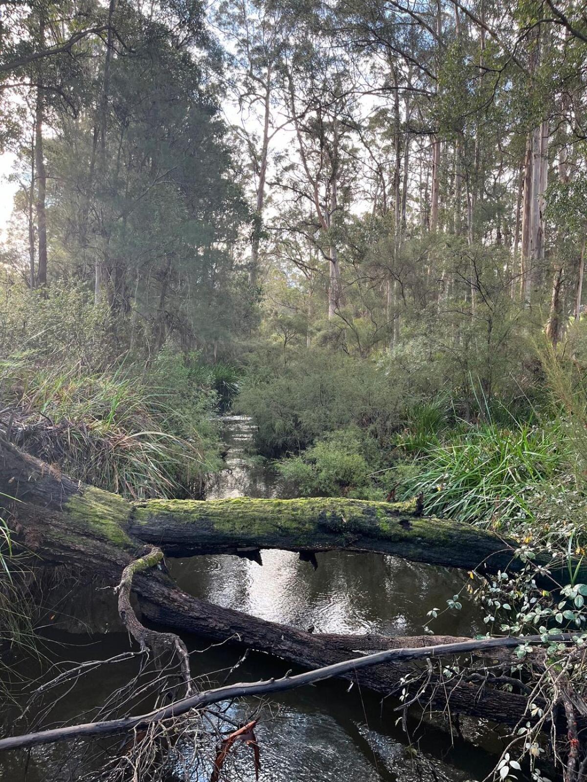 River Holiday home Denmark
