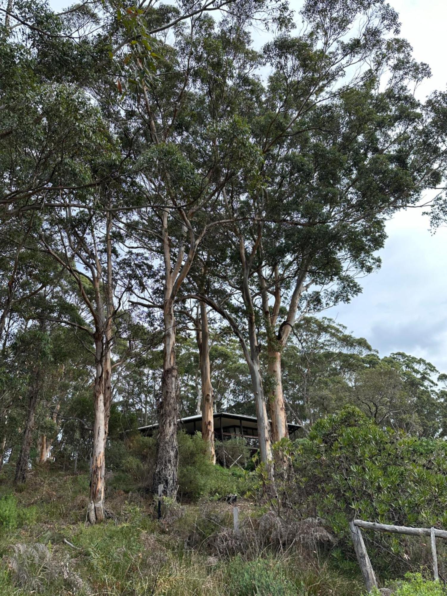 The Coombe Holiday home *