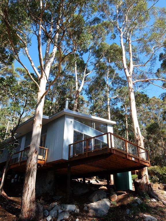 The Tree House Holiday home Denmark