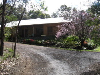 Forest Retreat Hotel