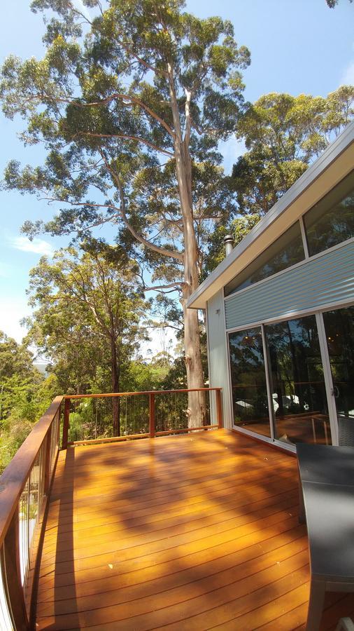 The Tree House *