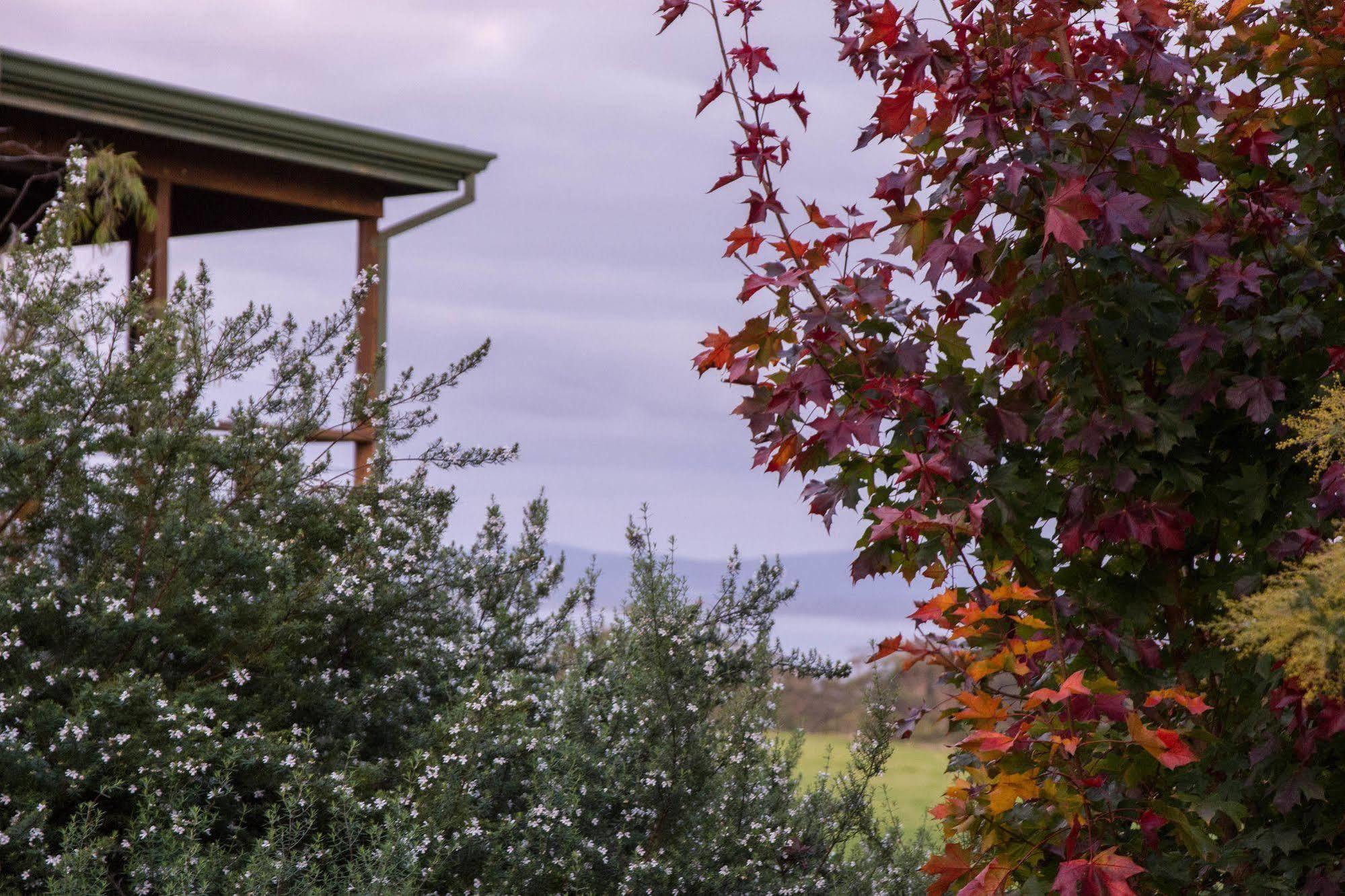 Celestine Retreat Chalet