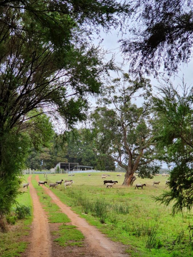 Little River Farm Denmark