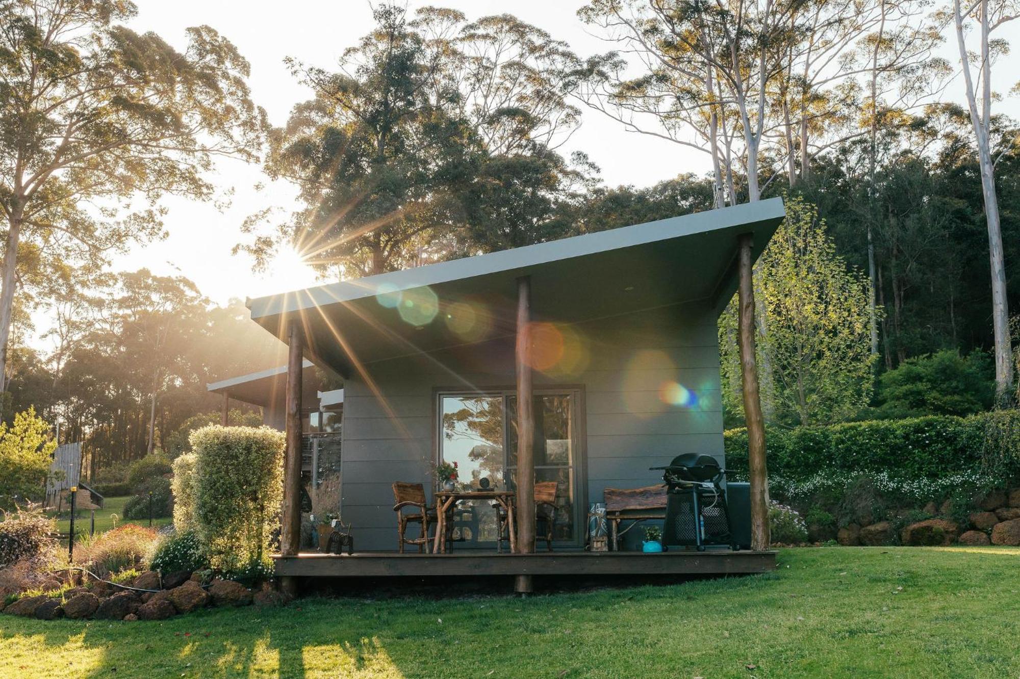 The Floating Forest Retreat *
