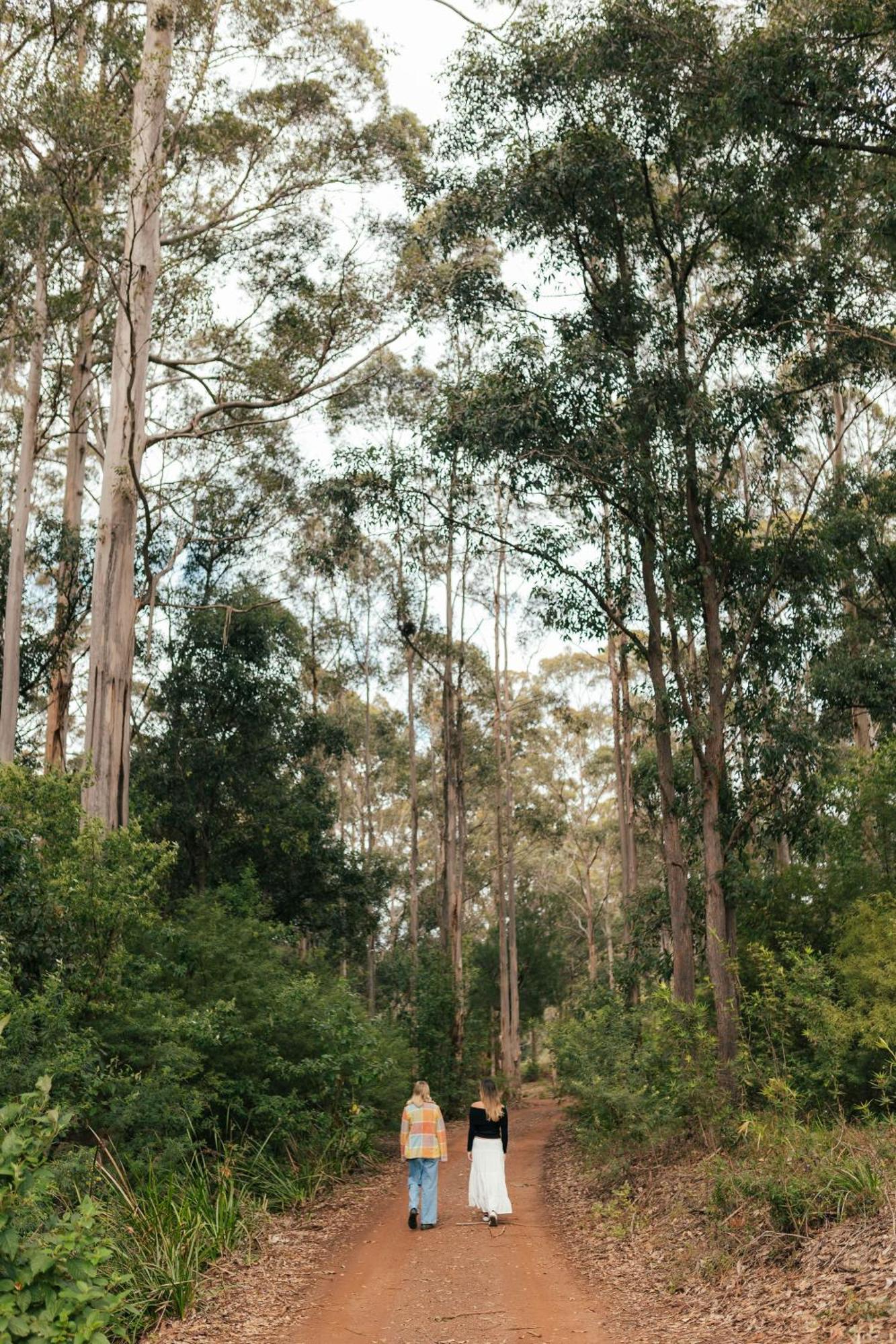 The Floating Forest Retreat
