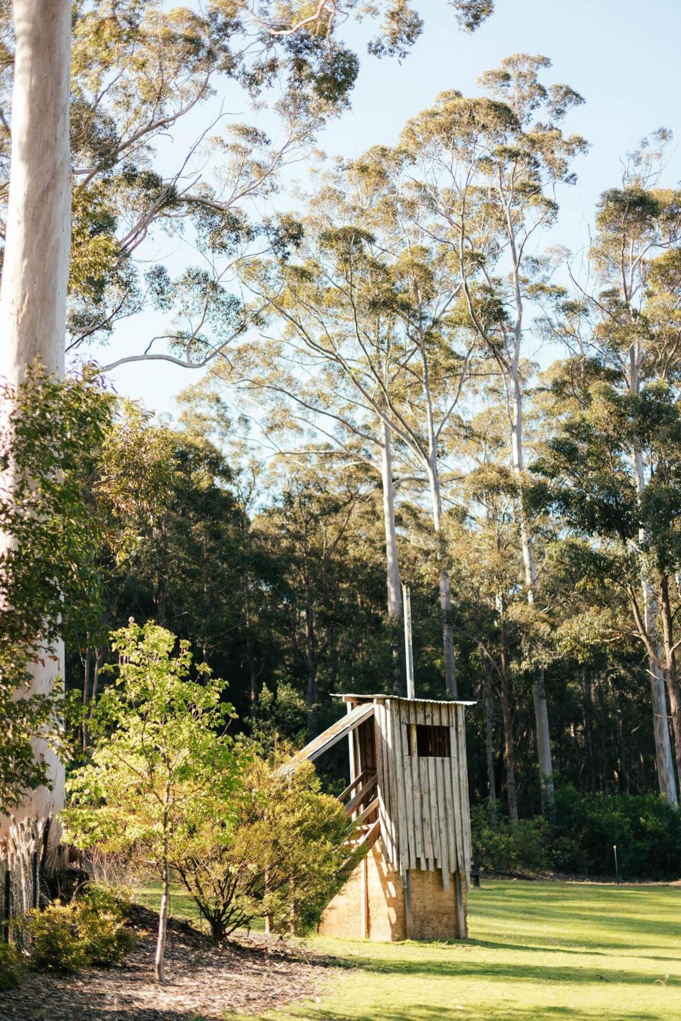 Chalet The Floating Forest Retreat *