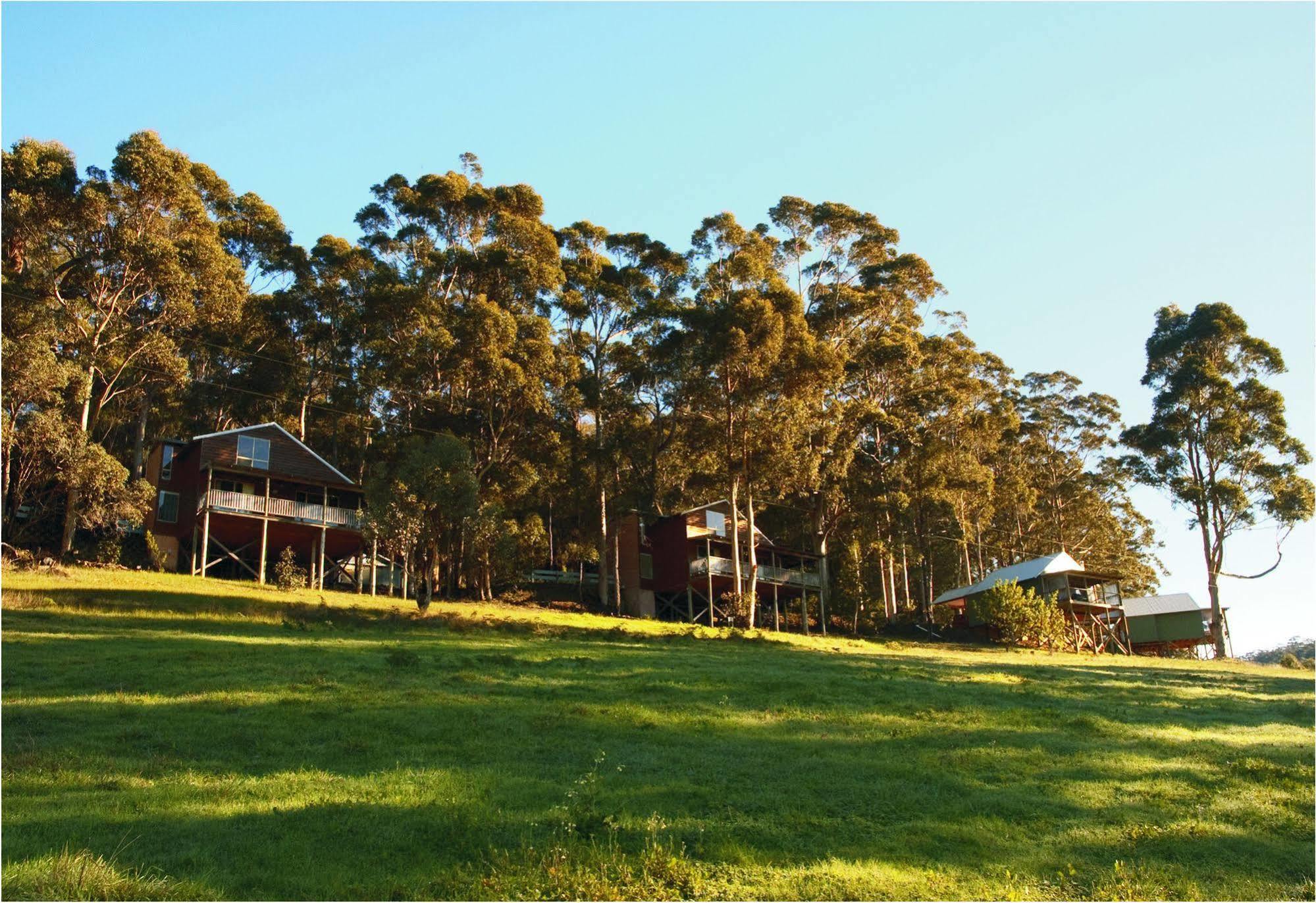 Karma And Karisma Chalet